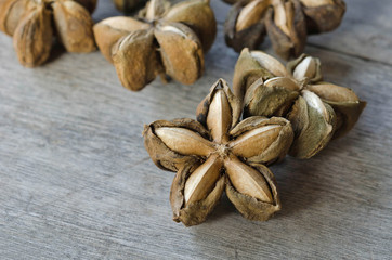 sacha inchi seed herbs use medicinaly omega three on wood background