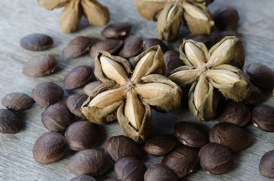 sacha inchi seed herbs use medicinaly omega three on wood background