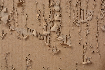ripped and scratch corrugated paper sheet
