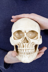 Human skull in human hands