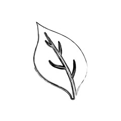 Gardening and agriculture concept icon vector illustration graphic design