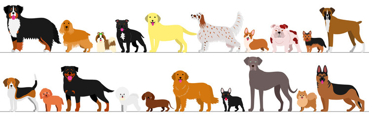standing dogs border set