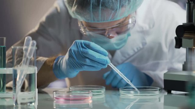 Scientist carefully carrying matured cell to another plate, conducting research