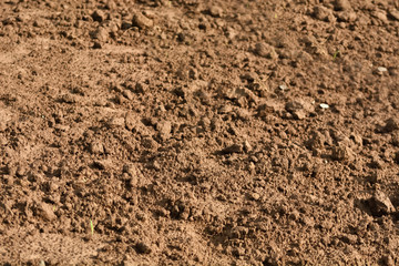 sand texture