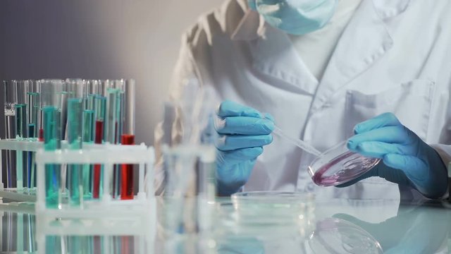 Assistant of cosmetic lab preparing universal cosmetic agent to add into creams