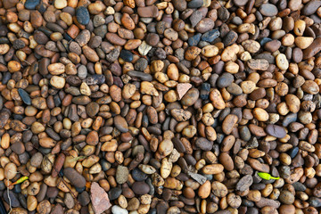 texture of beautiful dry round colored sea pebbles on pebble beach foreground closeup