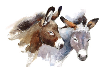 Watercolor Farm Animals Donkeys Couple Hand Drawn Illustration isolated on white background - 142550307