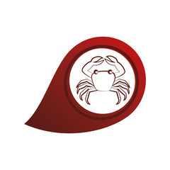 delicious crab sea food vector illustration design