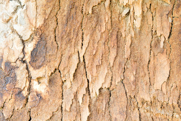 old Bark pattern