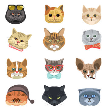 Cartoon cats and hipster kittens face muzzles vector icons
