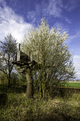 Altes Baumhaus in einem zugewucherten Schrebergarten