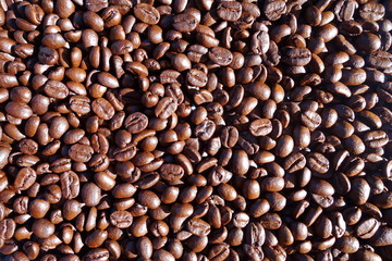 roasted coffee beans background