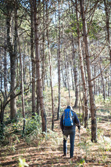 Obraz premium Rear of a young man with backpack goes on up to the mountain.