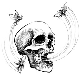 Skull and flying moths