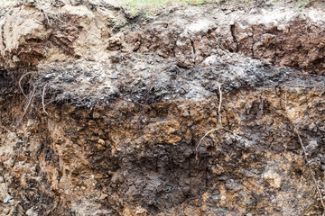 Soil water eroded..