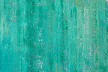 The whole texture of old wooden boards, bright emerald color grunge backgrounds, print, tiles,...