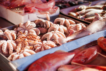 Boxes full of freshly caught mackerel fish and octopus. Early winter morning on Marsaxlokk market, Malta.