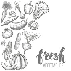 Monochrome sketch style set of vegetables icons. Eco organic fresh template with vegetables for the decoration of menu. Vector.