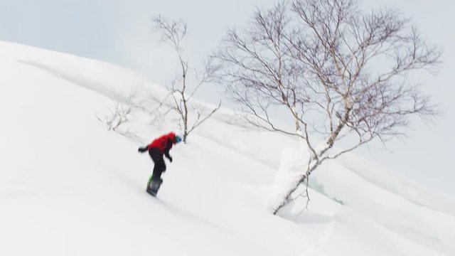 Snowboarder Bonk Tree With Snowboard Sunny Powder Snow Hokkaido Japan