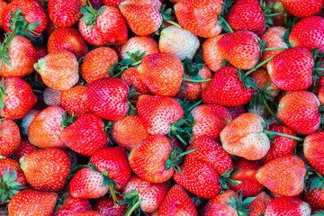 Red strawberries background