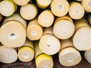 Yellow bamboo shoot background.
