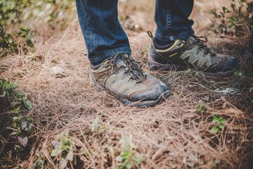 Hikers boots in the forest.