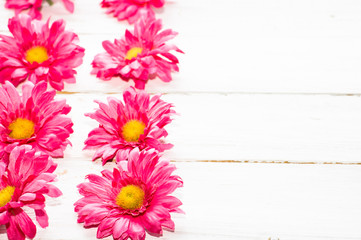 Gerbera flowers, spring background for women's day or card for mothers day