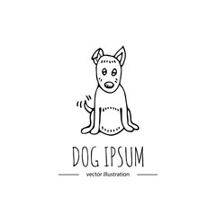Hand drawn doodle sitting cute dog icon Pets stuff and supply concept Vector illustration. Vet symbol. Cartoon dog care, leash, paw, bone, tail. Funny character Goods for pet shop