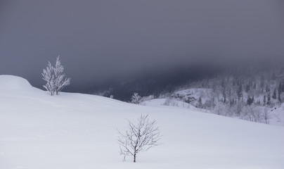 Winter landscape in Russian Lapland, Kola Peninsula