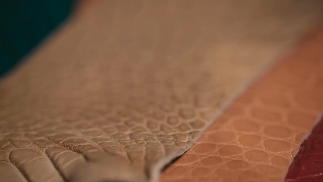 hands touching the leather of a python snake