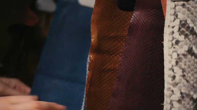 hands touching the leather of a python snake