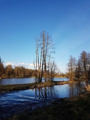 Park w Białowieży © michalsen