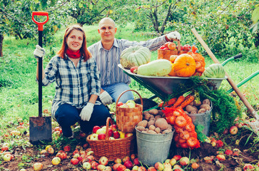 Fototapeta premium couple with harvested vegetables in garden