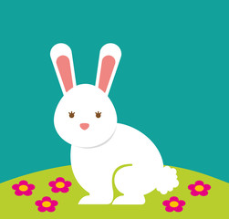 cute rabbit character easter season vector illustration design