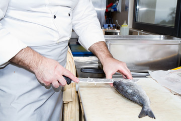 cook preparing salmon to be cooked