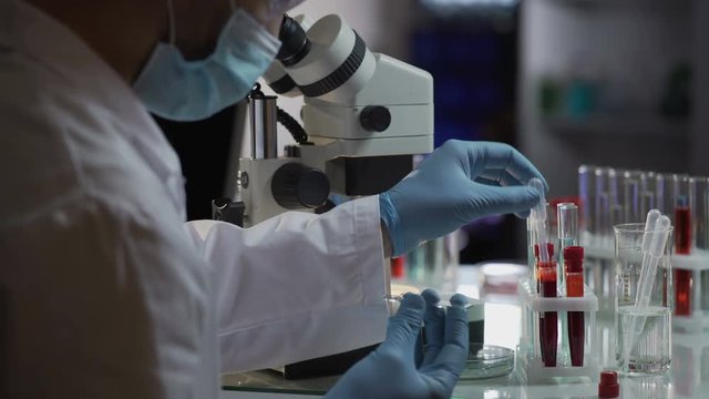 Lab assistant makes urgent blood test for detection of antibodies and infections