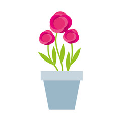 Naklejka na ściany i meble cute garden flower in pot vector illustration design