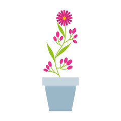 cute garden flower in pot vector illustration design