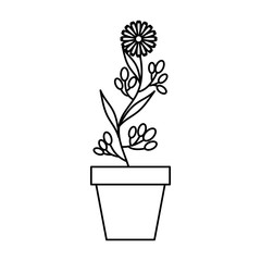 cute garden flower in pot vector illustration design