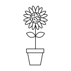 cute garden flower in pot vector illustration design