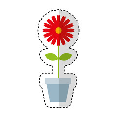 cute garden flower in pot vector illustration design