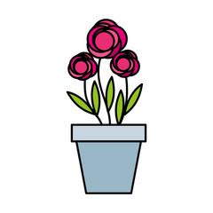 cute garden flower in pot vector illustration design