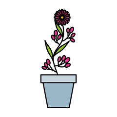 cute garden flower in pot vector illustration design