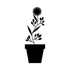 cute garden flower in pot vector illustration design