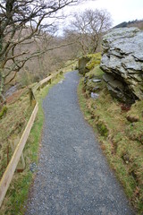 Fototapeta premium path 