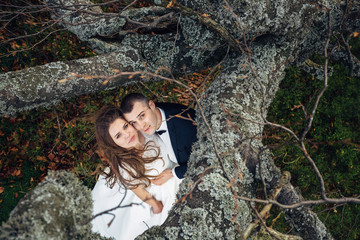 Look from top of the tree at wedding couple lying on the ground