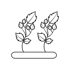 Cultivated flower garden icon vector illustration design