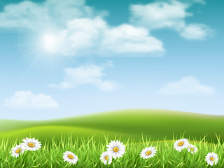 Rural hilly landscape with daisies in the foreground. Vector nature background.