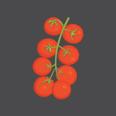 Collection of fresh red tomatoes and soup vector illustrations. Half, slice, cherry tomato.
