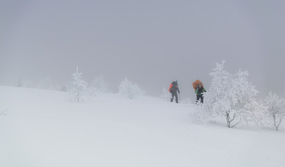 Fototapeta na wymiar Tourists in Russian Lapland, Kola Peninsula